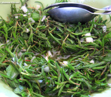 Green Wild Thyme Salad Recipe – Salatat Zaatar