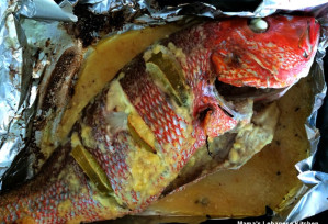 Baked Red Snapper Recipe